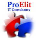 ProElit IT Consultancy